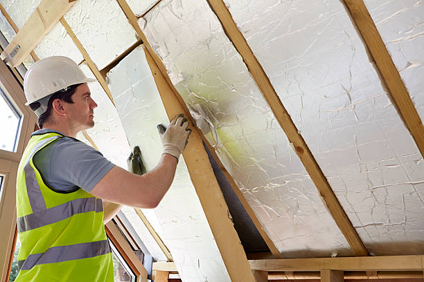 Best Best Insulation Companies  in Lapwai, ID